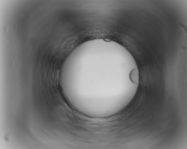 X0000102780034200808180941