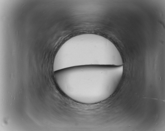 X0000102780035200808180941