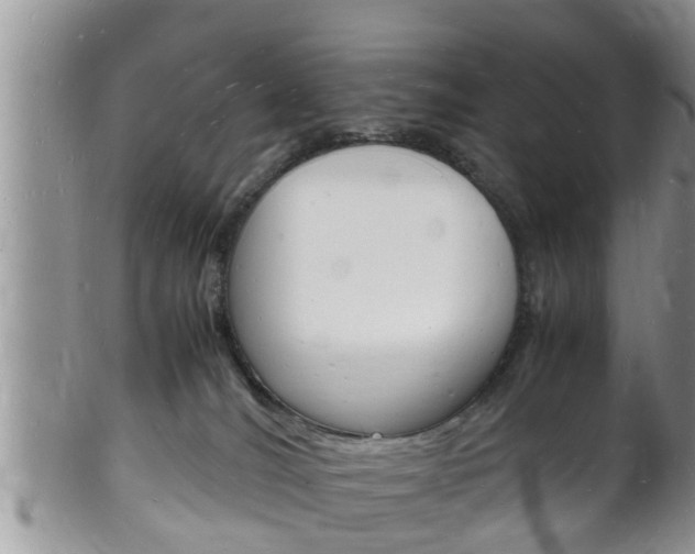 X0000102780036200808180941