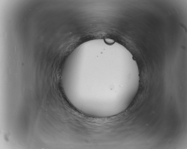 X0000102780037200808180941