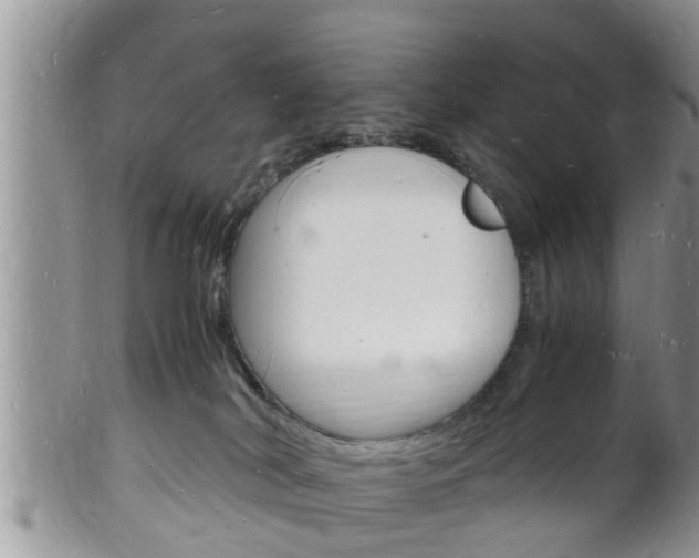 X0000102780038200808180941