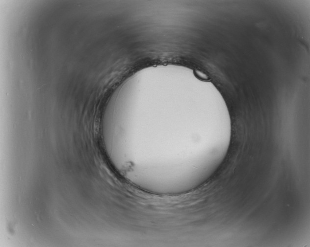 X0000102780039200808180941