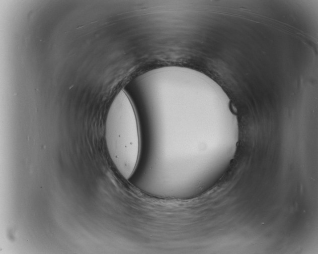 X0000102780040200808180941