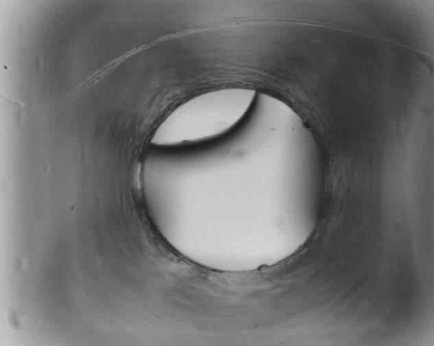 X0000102780041200808180941