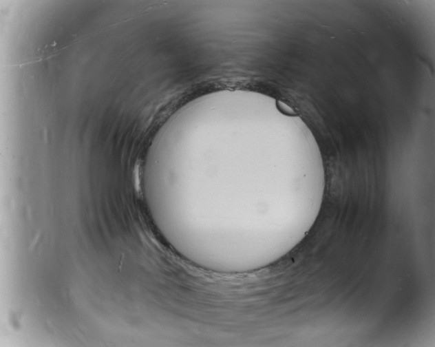 X0000102780042200808180941