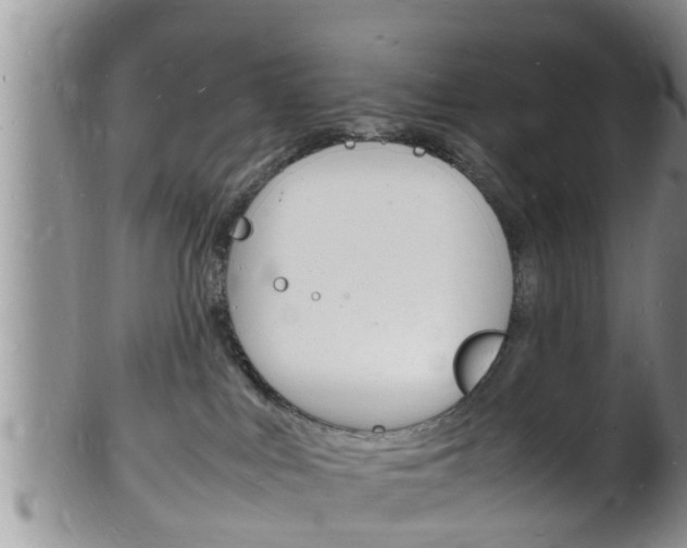 X0000102780043200808180941