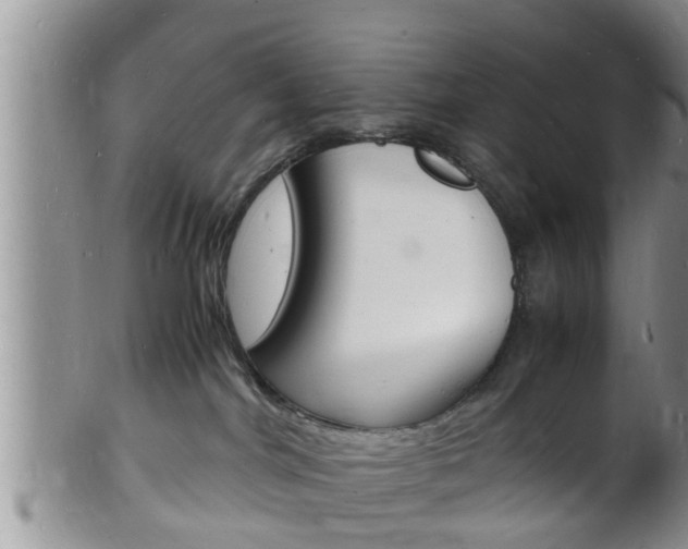 X0000102780044200808180941