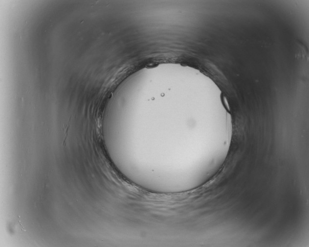 X0000102780045200808180941