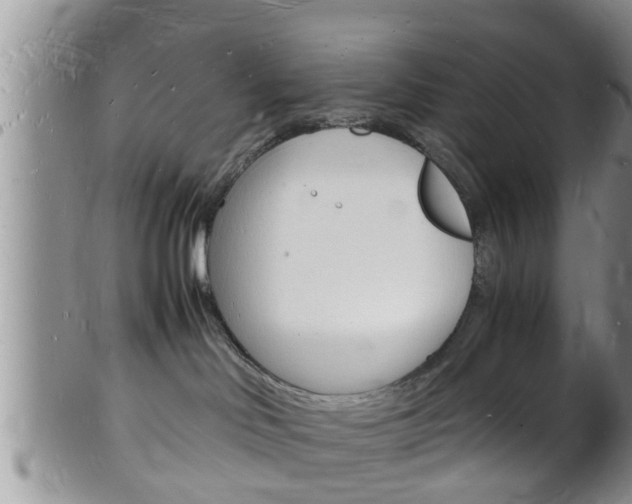 X0000102780046200808180941