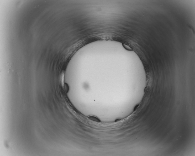 X0000102780047200808180941