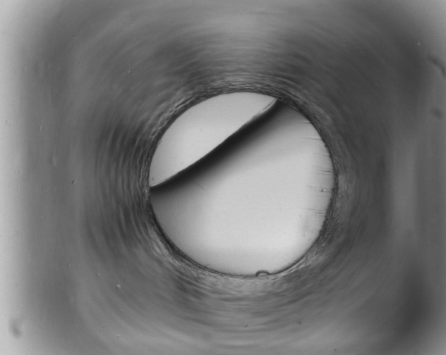 X0000102780048200808180941