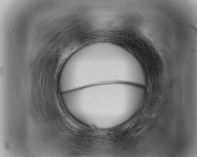 X0000102780049200808180940