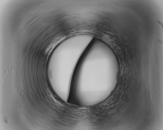 X0000102780050200808180940