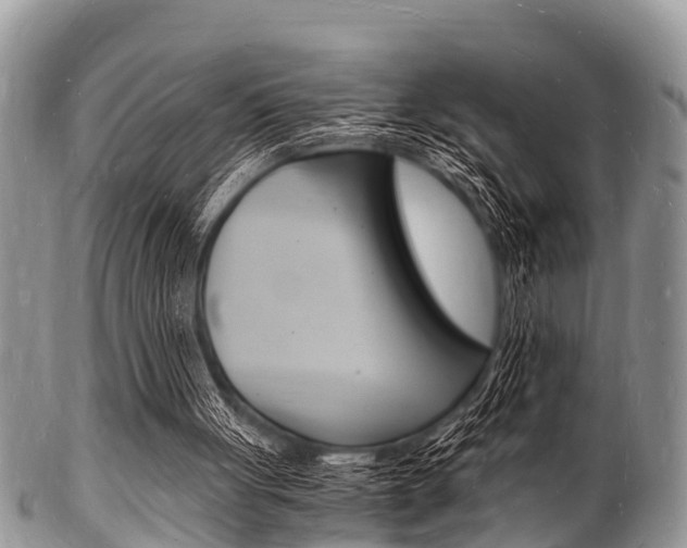 X0000102780051200808180940