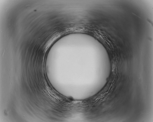 X0000102780052200808180940