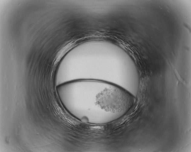 X0000102780053200808180940