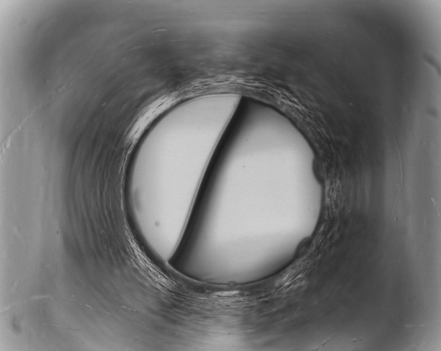 X0000102780054200808180940