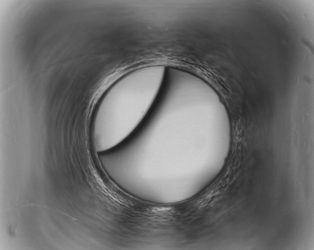 X0000102780055200808180940