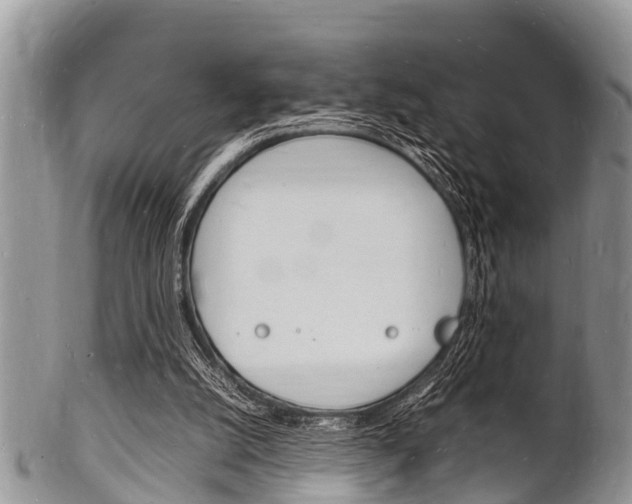 X0000102780056200808180941