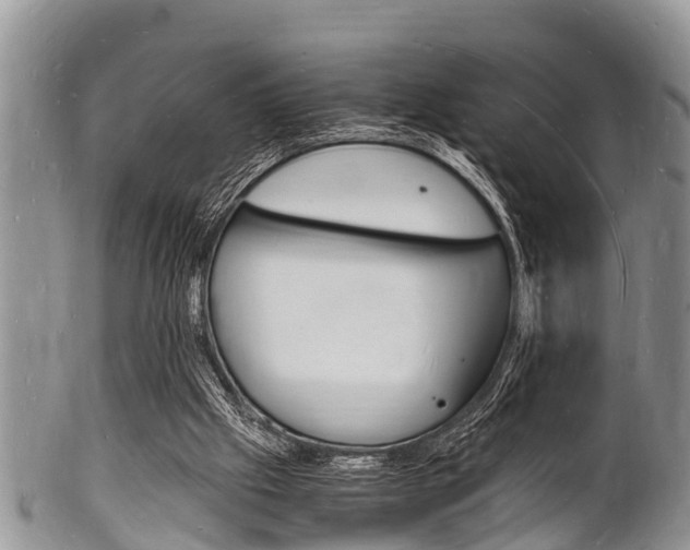 X0000102780057200808180941