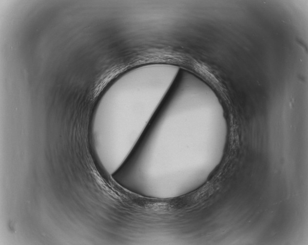 X0000102780058200808180941