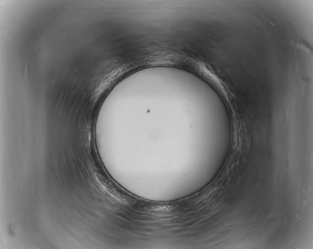 X0000102780059200808180941