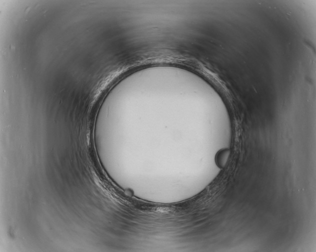 X0000102780060200808180941