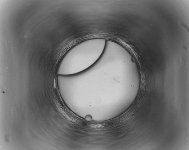 X0000102780061200808180941