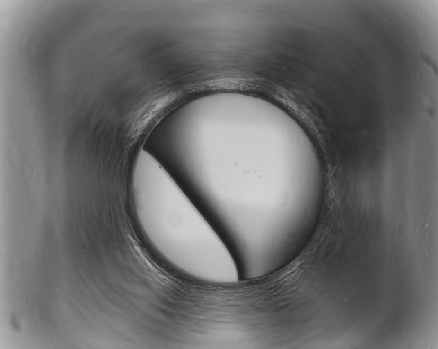 X0000102780062200808180941