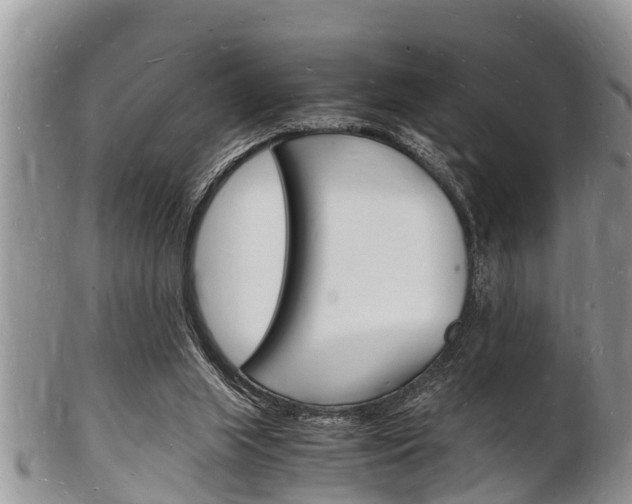 X0000102780063200808180941