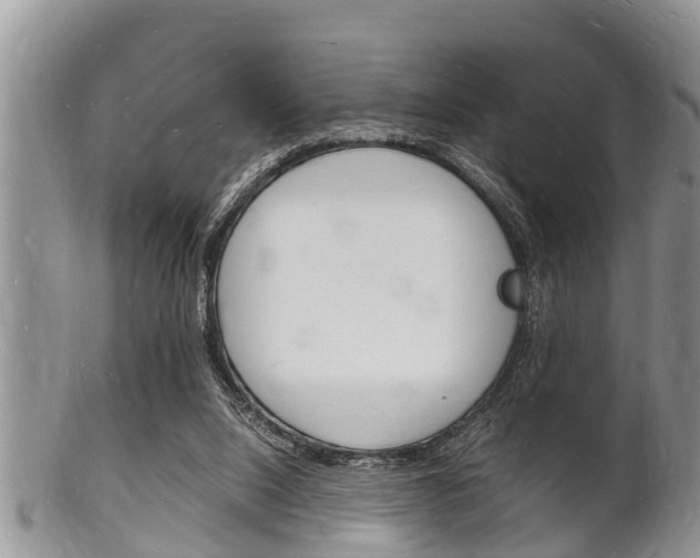 X0000102780064200808180941