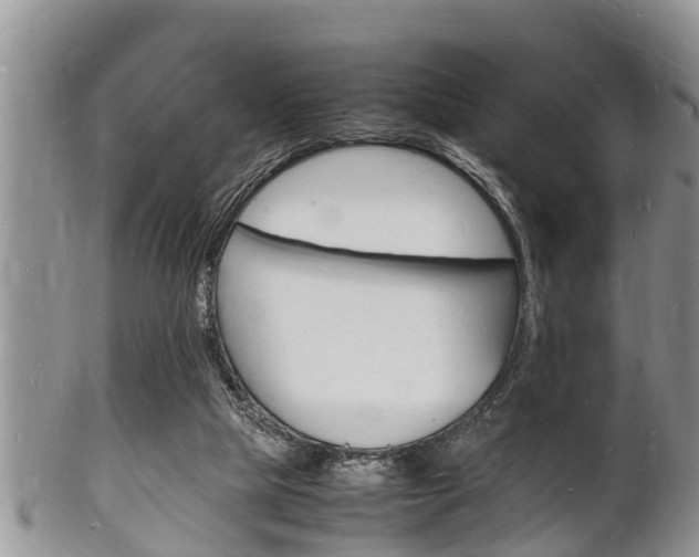 X0000102780065200808180941