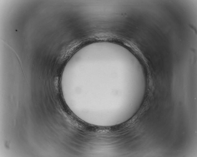 X0000102780066200808180941