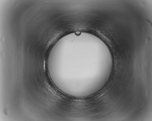 X0000102780067200808180941