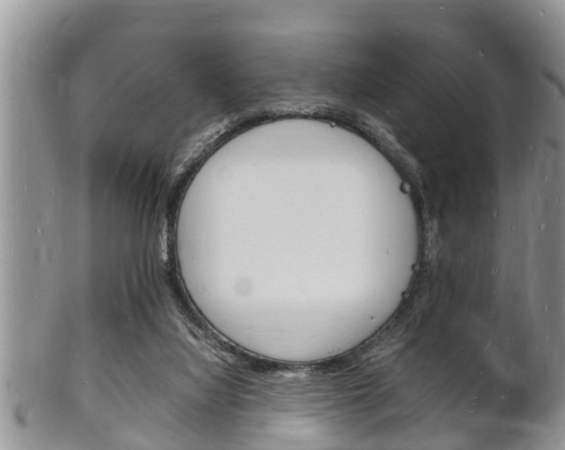 X0000102780068200808180941