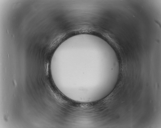 X0000102780070200808180941