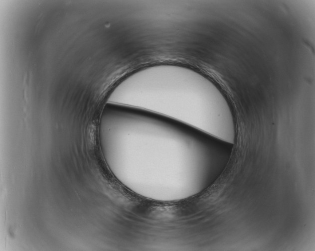 X0000102780071200808180941