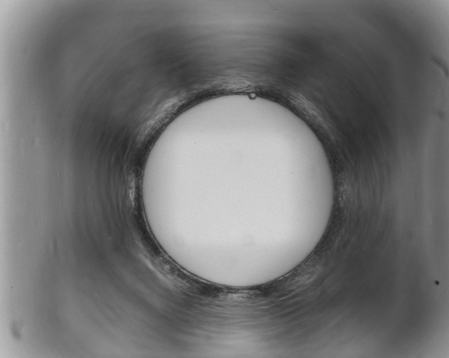 X0000102780072200808180941