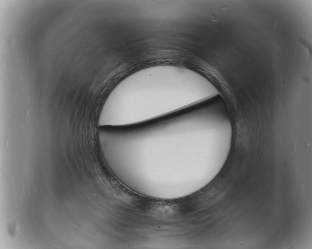 X0000102780073200808180941