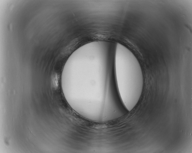 X0000102780075200808180941