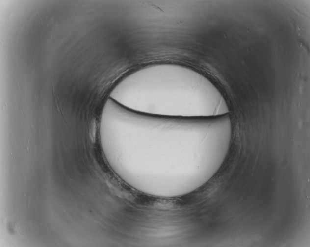 X0000102780076200808180941