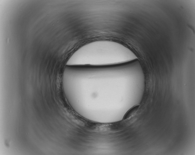 X0000102780078200808180941