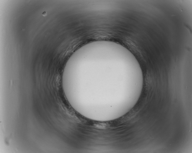 X0000102780079200808180941