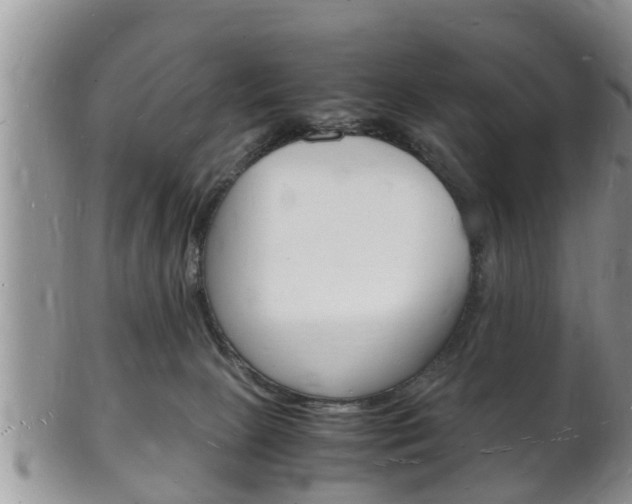 X0000102780081200808180941