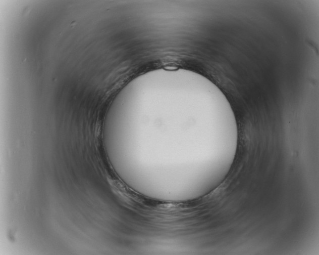 X0000102780082200808180941