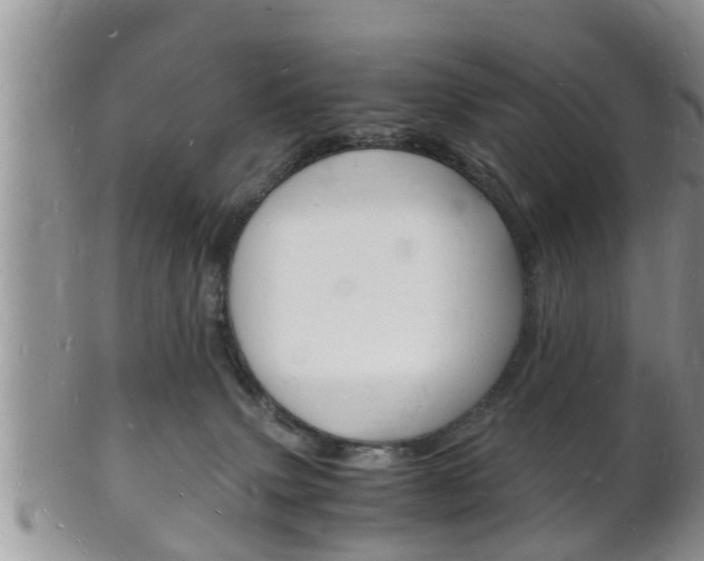 X0000102780083200808180941