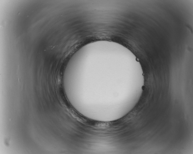 X0000102780084200808180941