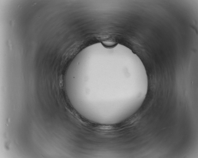 X0000102780085200808180941