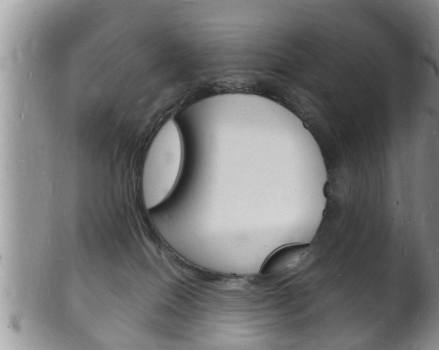 X0000102780086200808180941