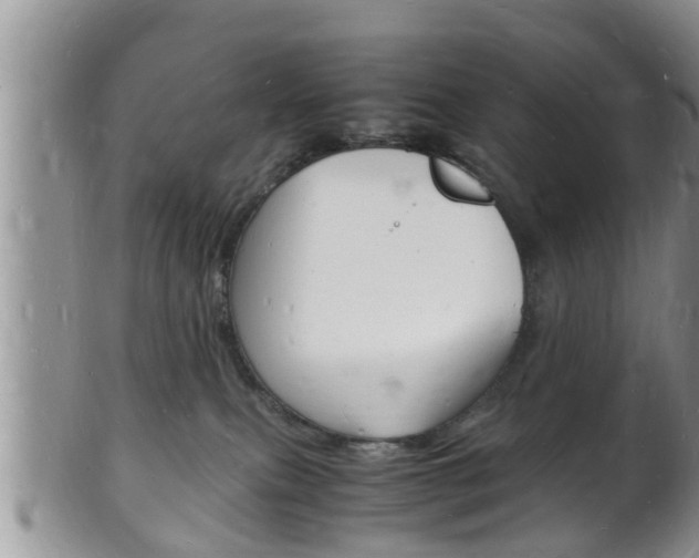 X0000102780087200808180941